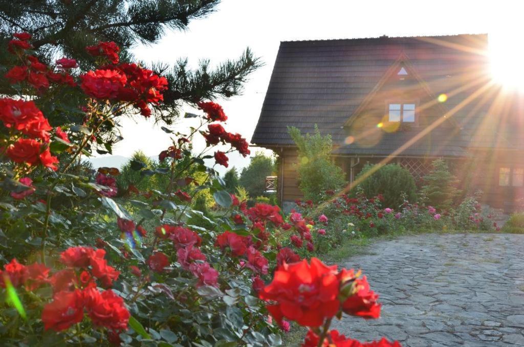 فيلا Pcimفي Goralska Ostoja المظهر الخارجي الصورة